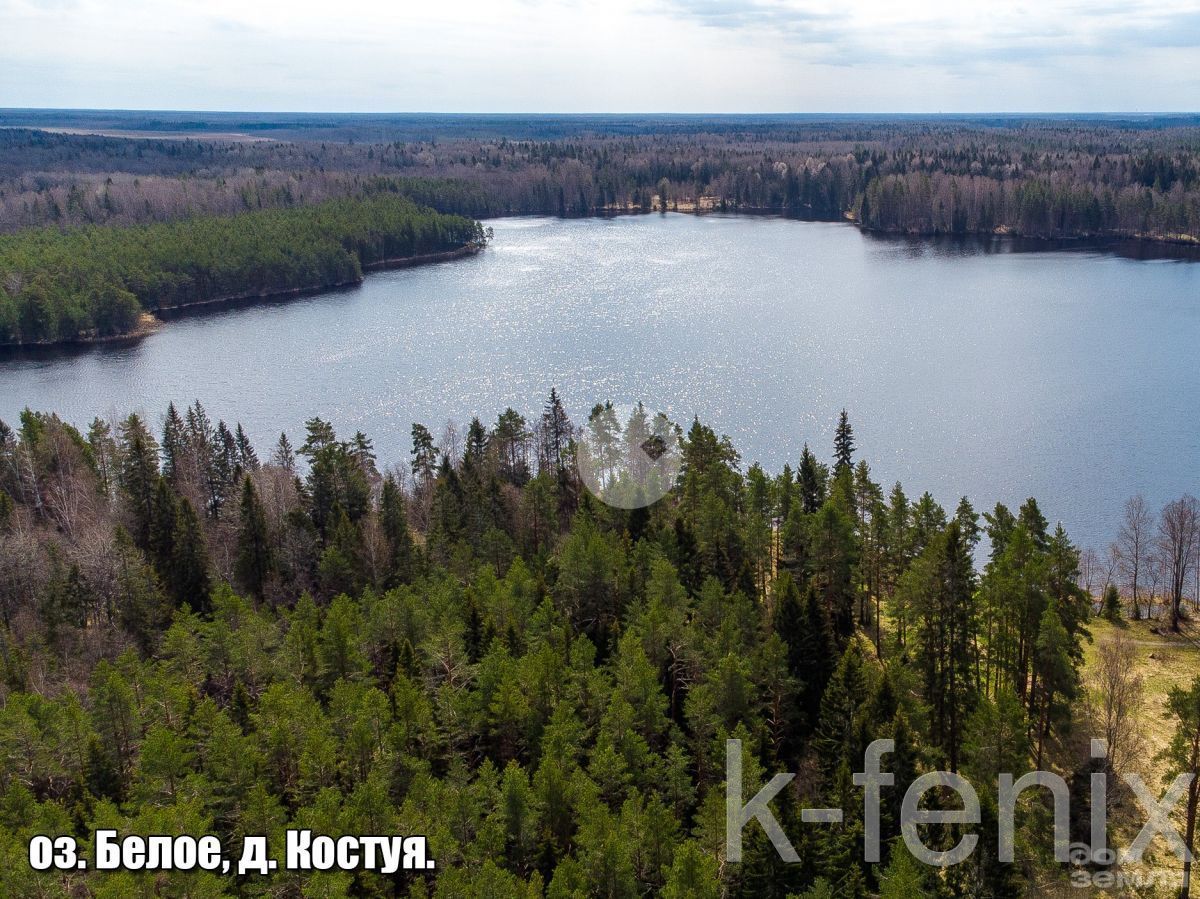 участок 20 сот